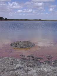 Lake Thetis