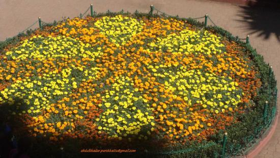 Deer Park, Ooty