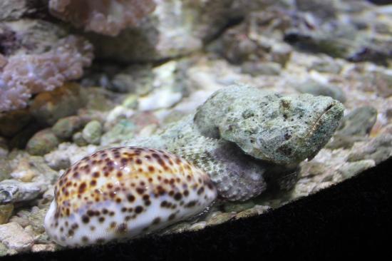 Eden Aquarium