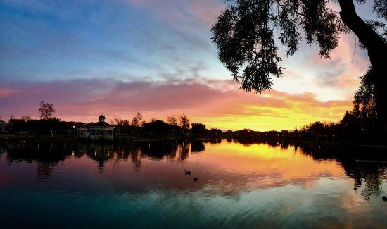 Lake Harveston Park