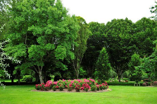 Adare Park