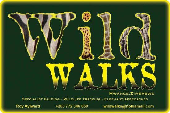 Wild Walks