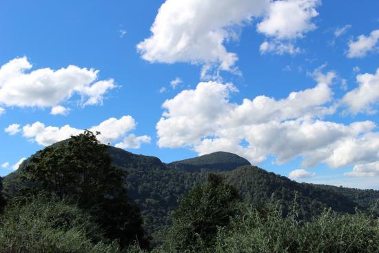 Tweed Valley