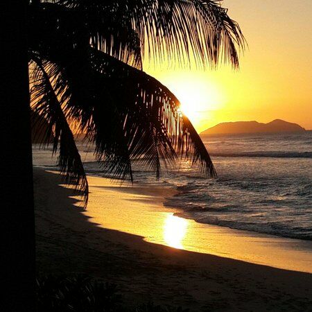 Tropical Fusion Beach Bar and Grill