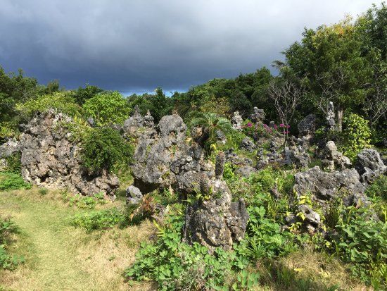 Stone Garden