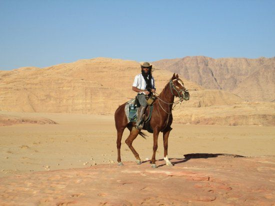 Horse Riding Jordan