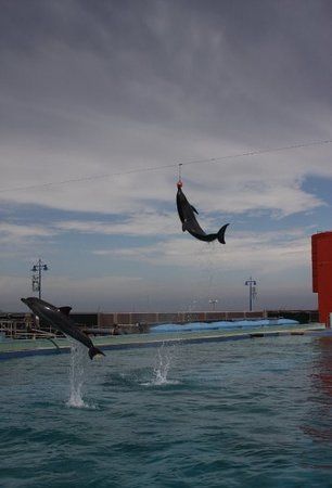 Bayworld Oceanarium