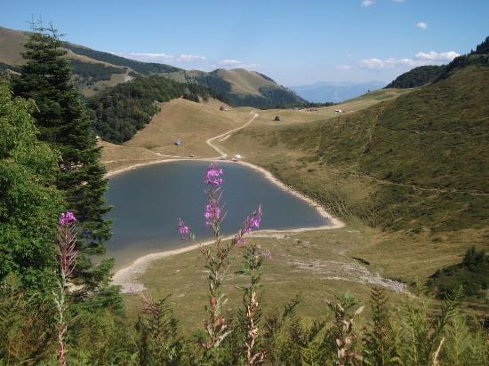 Bjelasica Mountain