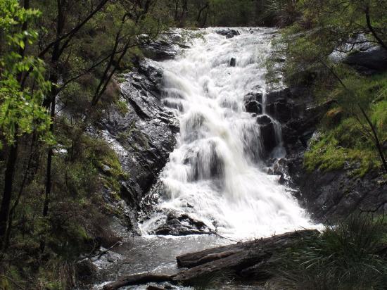 Beedelup National Park