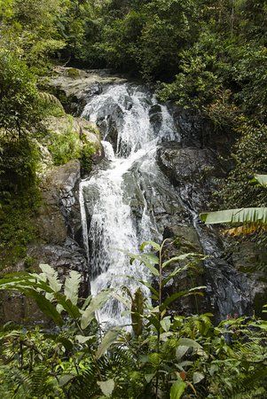 Robinson Falls