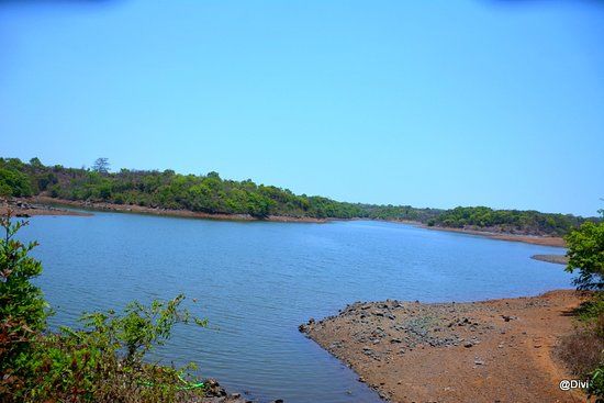 Saltar Dam