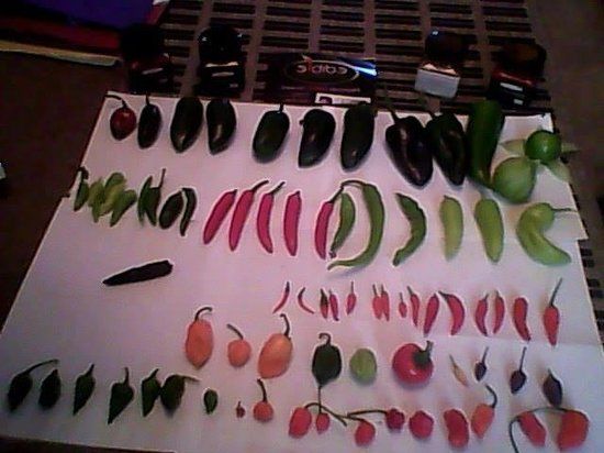 Edible Ornamentals