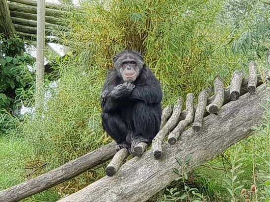 Zoo Arche Noah