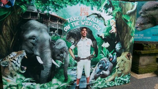 Night At The Zoo