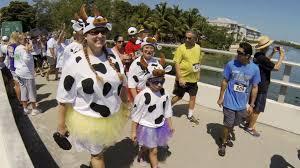 Cow Key