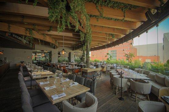 Sonora Grill Prime Monterrey