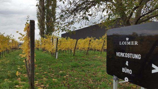 Weingut Fred Loimer
