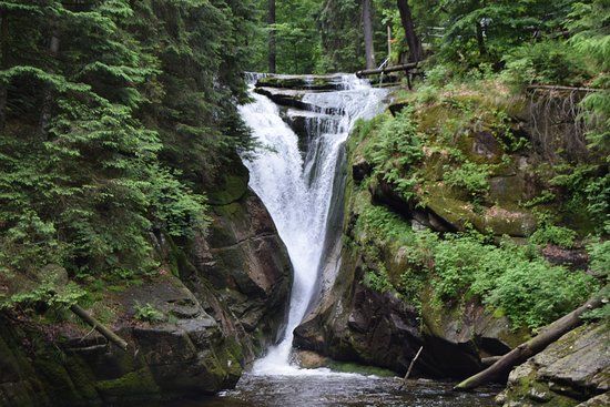 Kochelfall