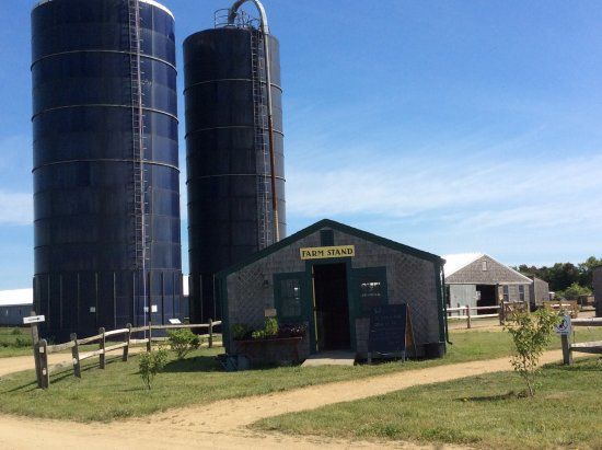 The Farm Institute