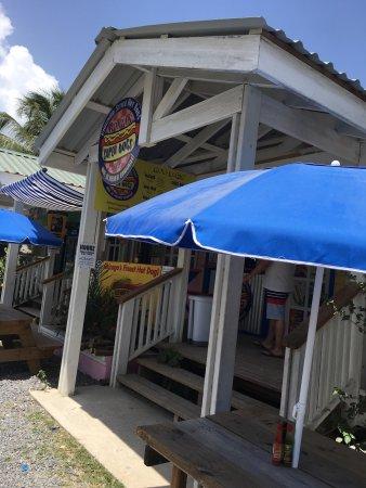 Roatan Super Dogs