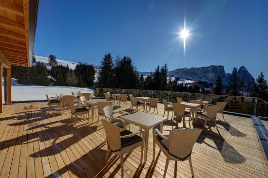 Restaurant Cafe Tea Lounge Sabina