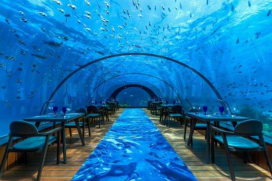 5.8 Undersea Restaurant