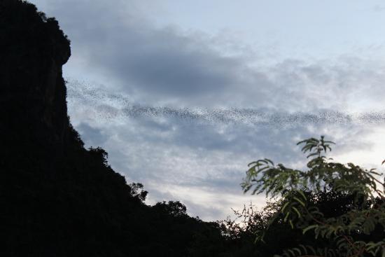 Nayang Bat Cave