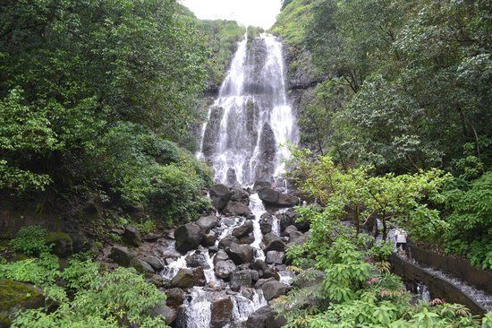 Amboli