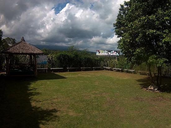 Sabila Farm