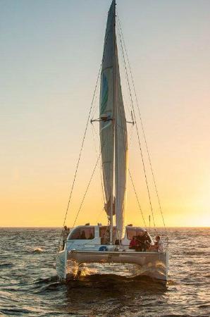 Tropical Day Sails