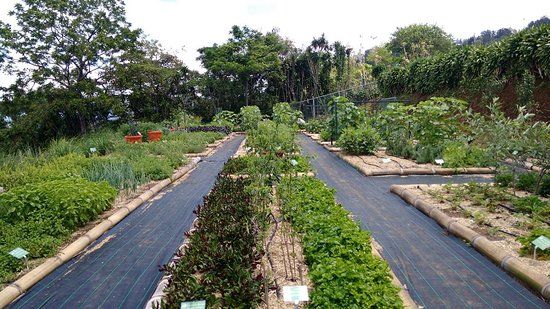 The Ark Herb Farm