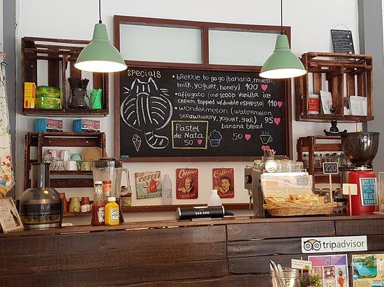 The Fat Cat Coffee & More