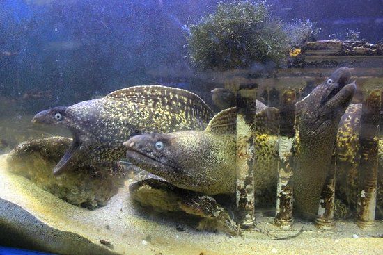 Aqua World of Faliraki