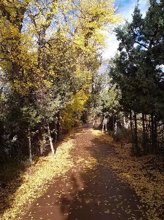 Dubois Town Park
