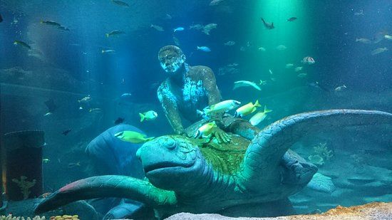 Sea Life Nagoya