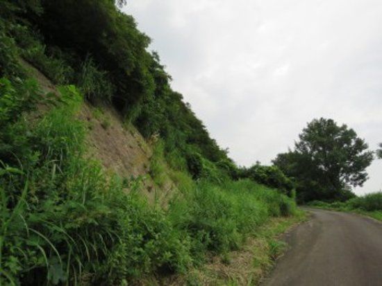 Renkon