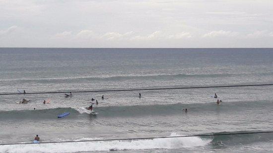 Sea Nymph Surf Cafe