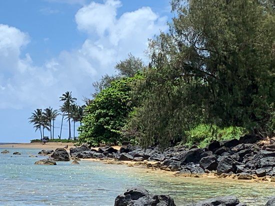 Wyllie's Beach