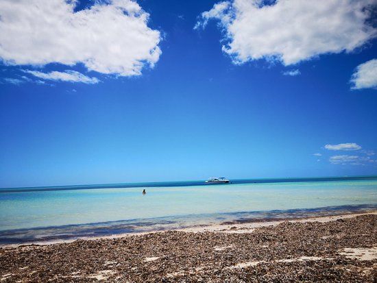 Fortune Beach