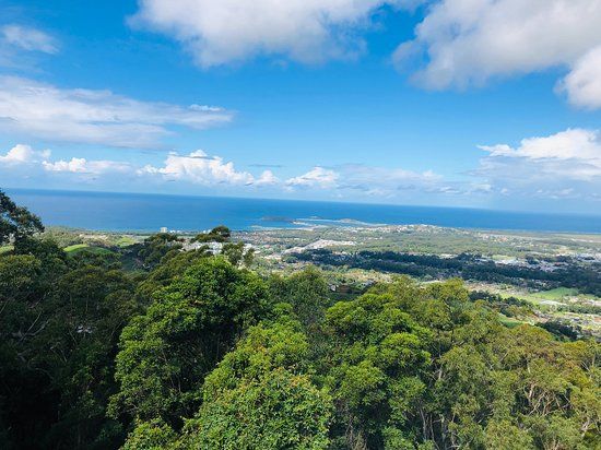 Sealy Lookout
