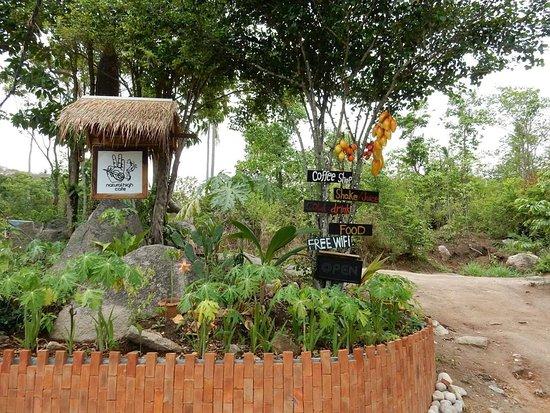 Natural High Cafe
