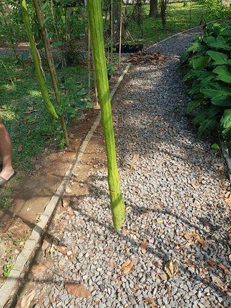 Na Tin Spicy Garden