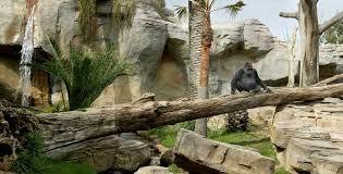 Tierpark Bioparc Fuengirola