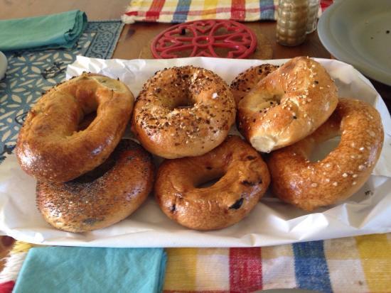 Townie Bagels Bakery and Cafe