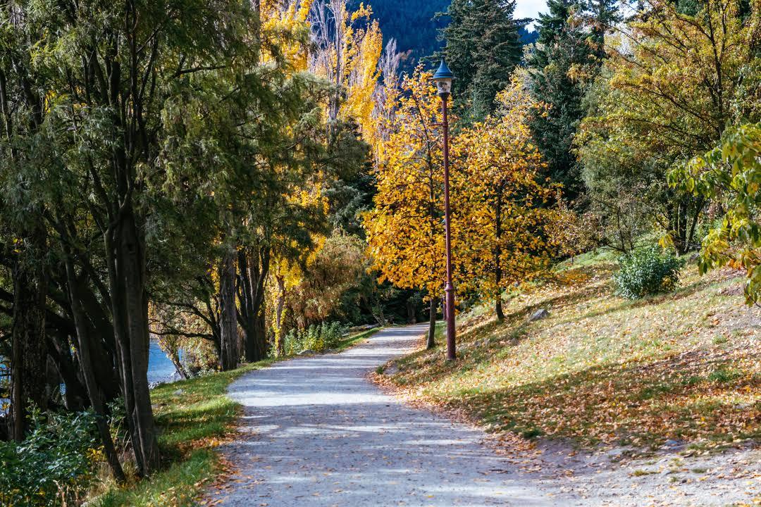 Queenstown Garden