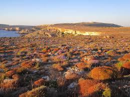 Parc naturel et historique Il-Majjistral