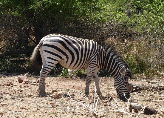 Gaborone Game Reserve