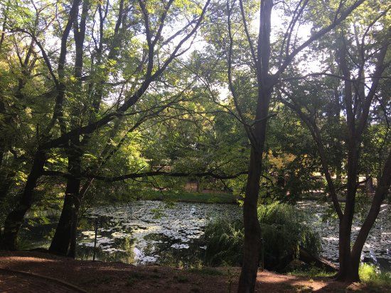The Eye of Kuruman