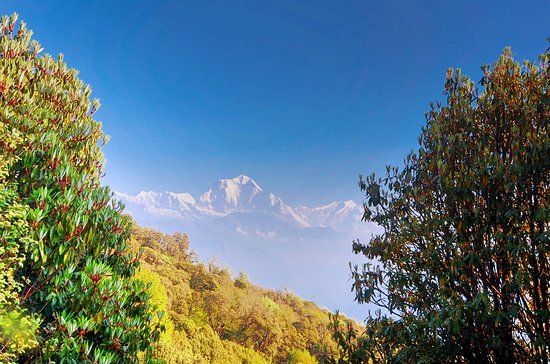 Poon Hill
