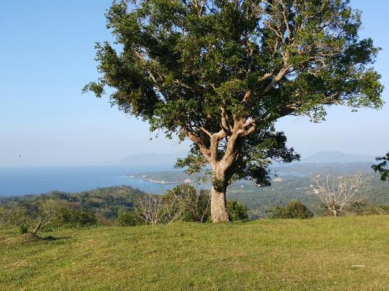 Mt. Malasimbo